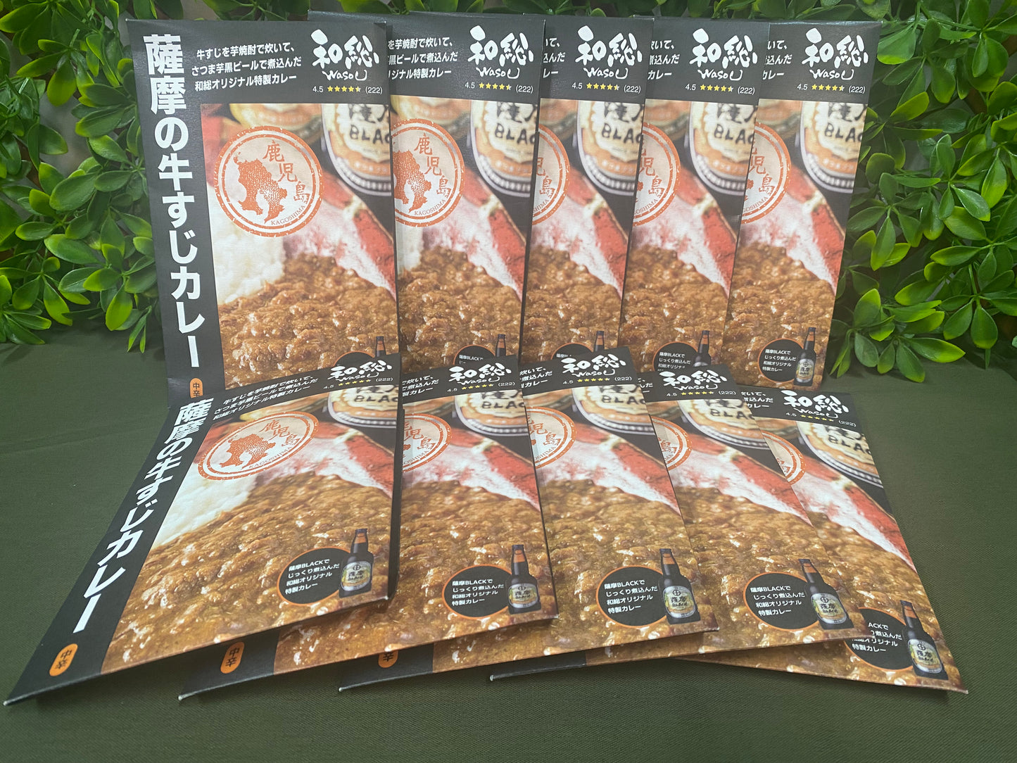 絶品! 薩摩の牛すじカレー(10食セット) - Babanet Channel DX