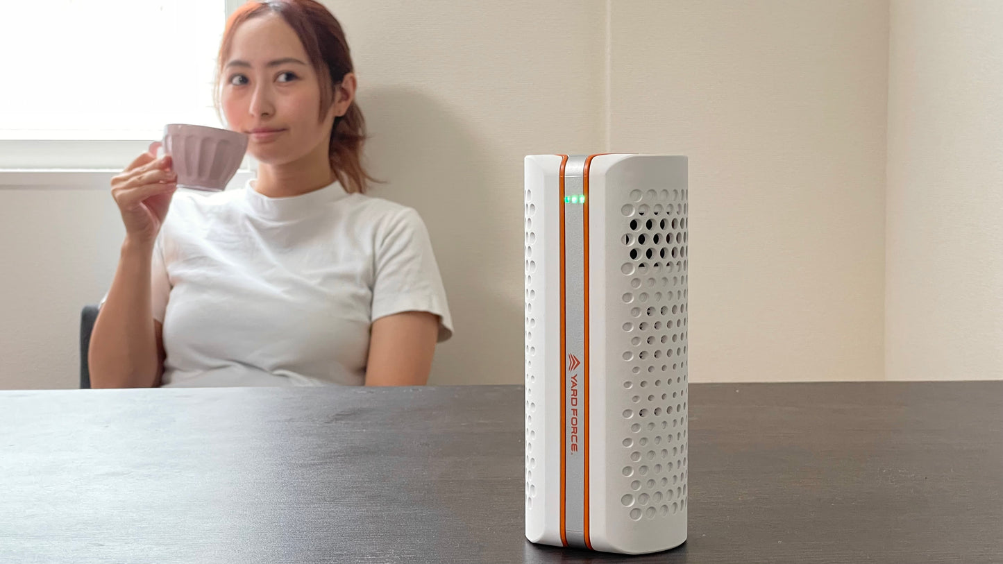 portable air purifier